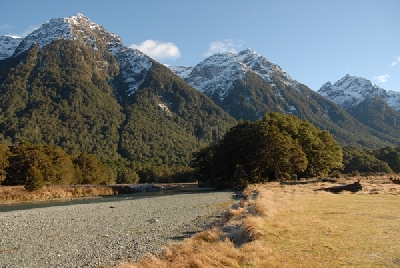 Fiordland Penguin Tours Fiordland Penguin Tours
